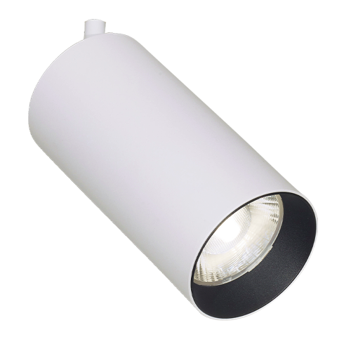 ZENT 30W – 24º
